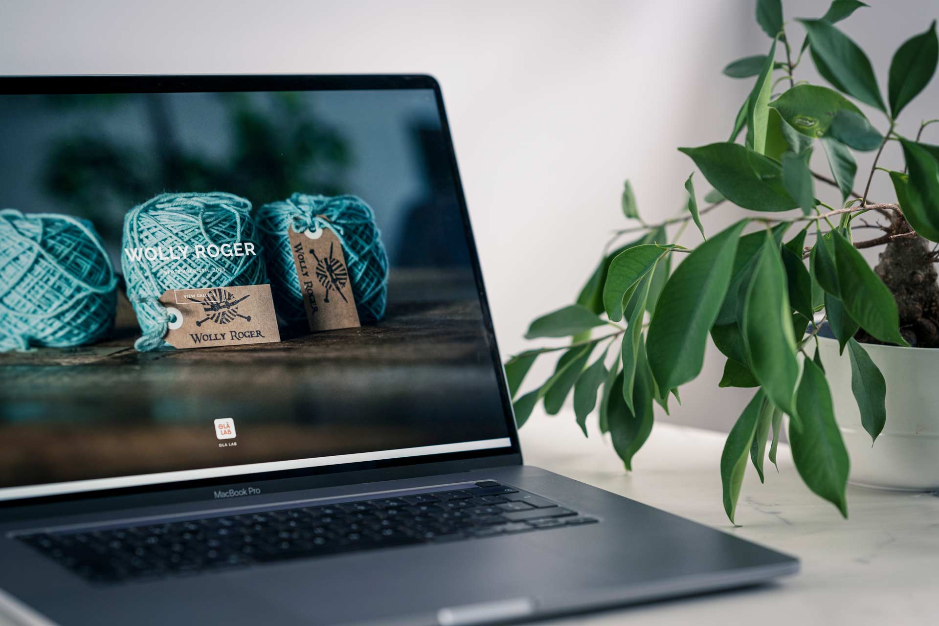 OLA-LAB_banner-wollyroger_web commercial photography