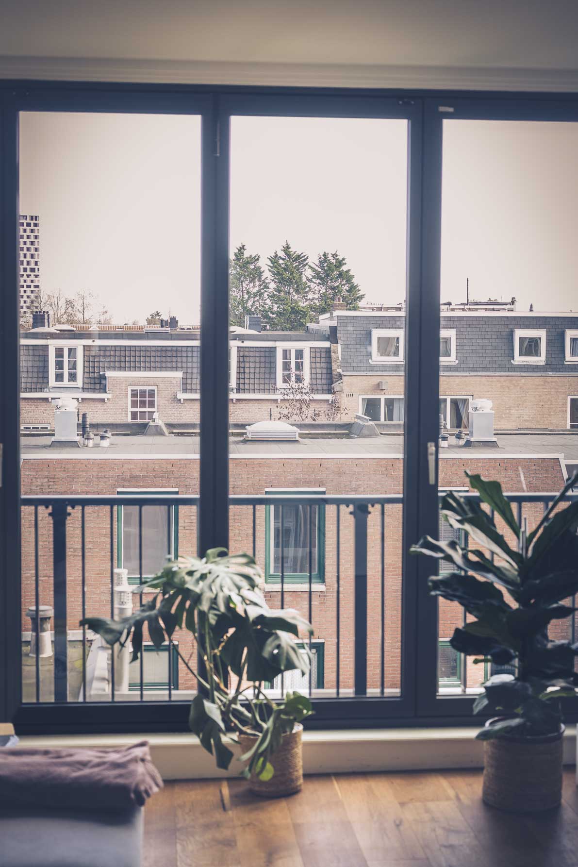 best time for a maternity photoshoot