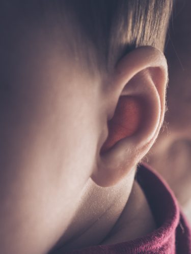 2026_OLALAB_newborn_14