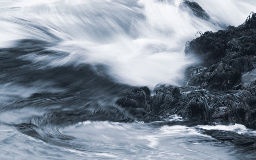 OLALAB_blog_colormanagement_waves2