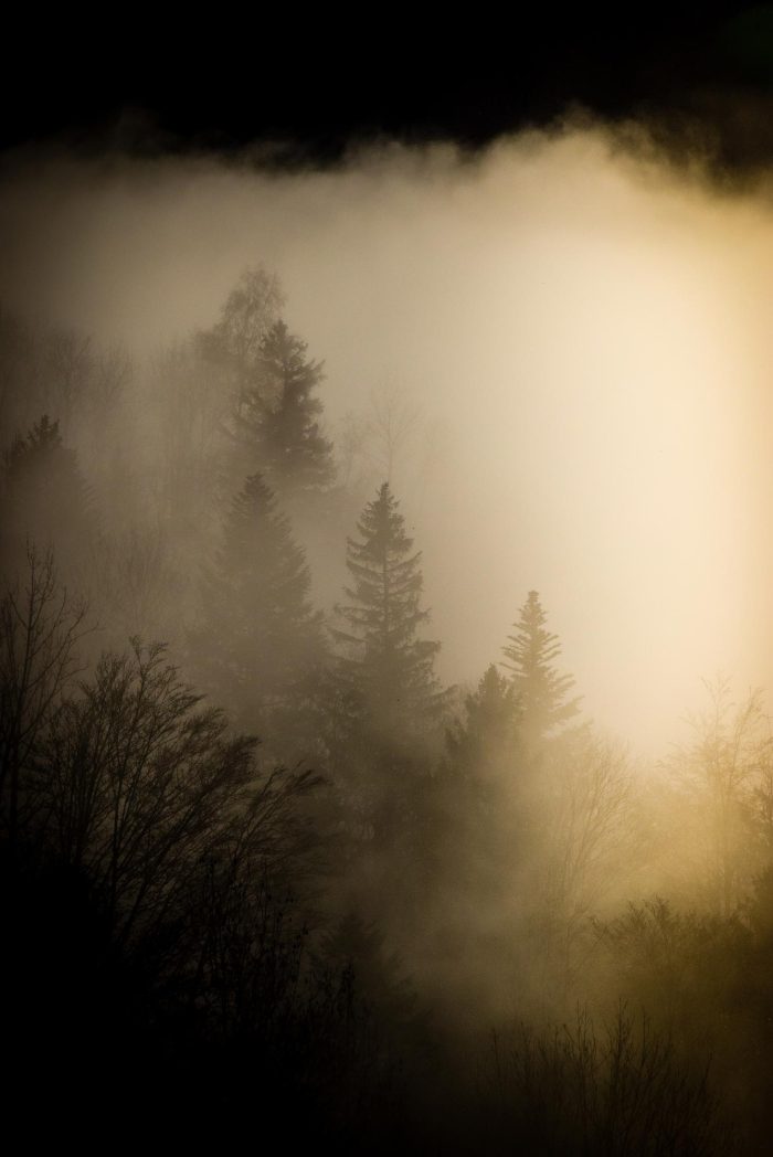 maternity self portrait waiting for light